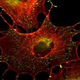 Image for article titled Science Is Awesome!
